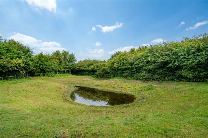 Bekijk foto 91 van Wollinghuizerweg 50