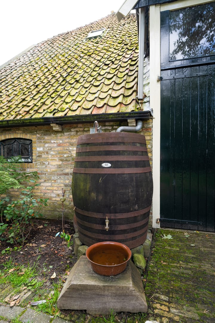 Foto 61 van Hogereind 31