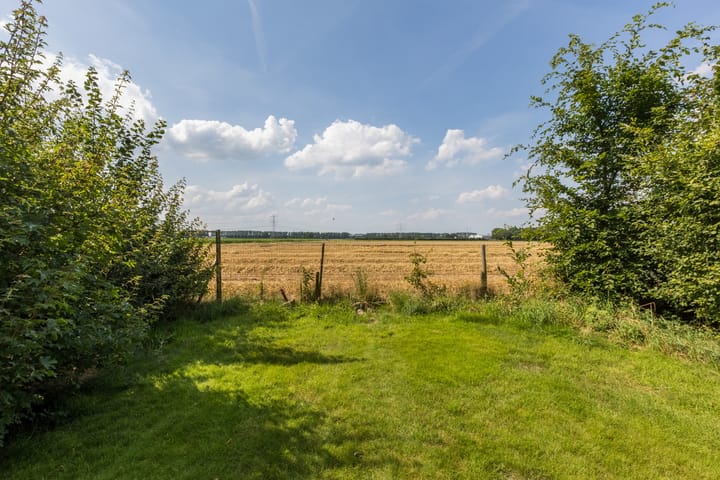 Foto 49 van Lindelaan 18