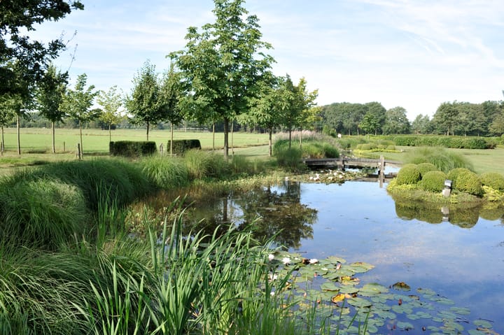 Foto 7 van Loordijk 24