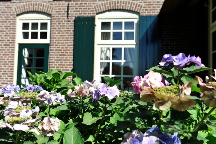 Foto 18 van Loordijk 24