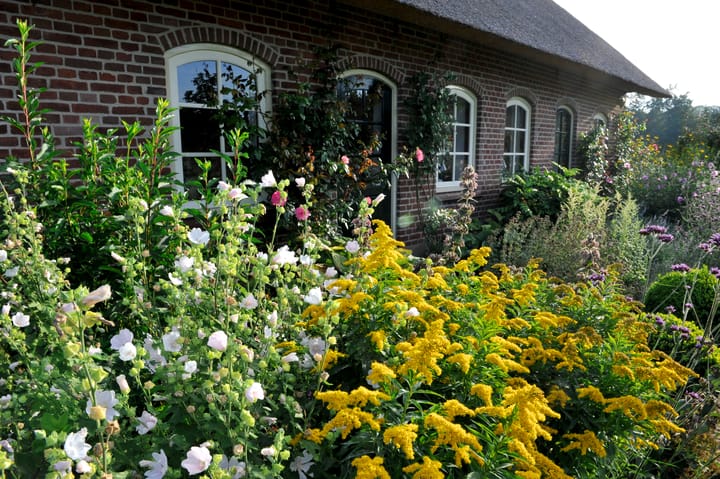 Foto 100 van Loordijk 24