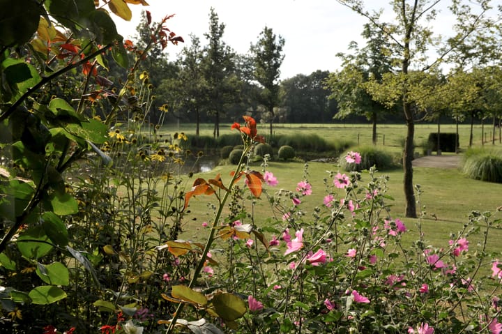 Foto 101 van Loordijk 24