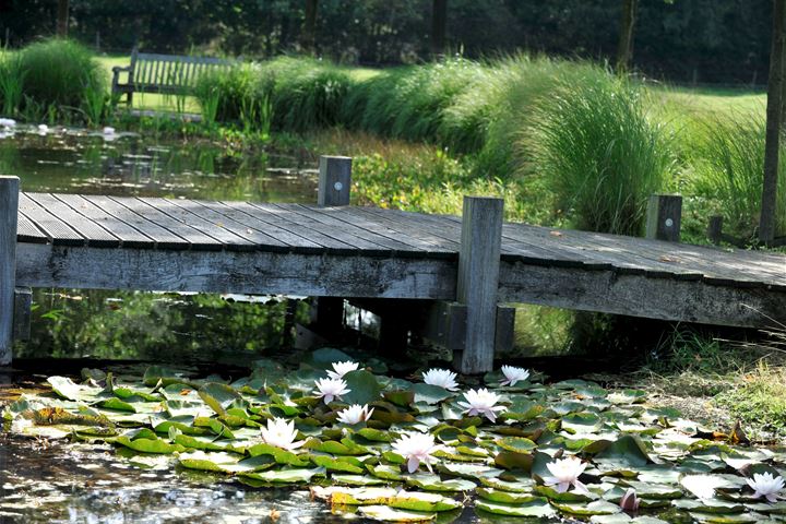 Bekijk foto 102 van Loordijk 24