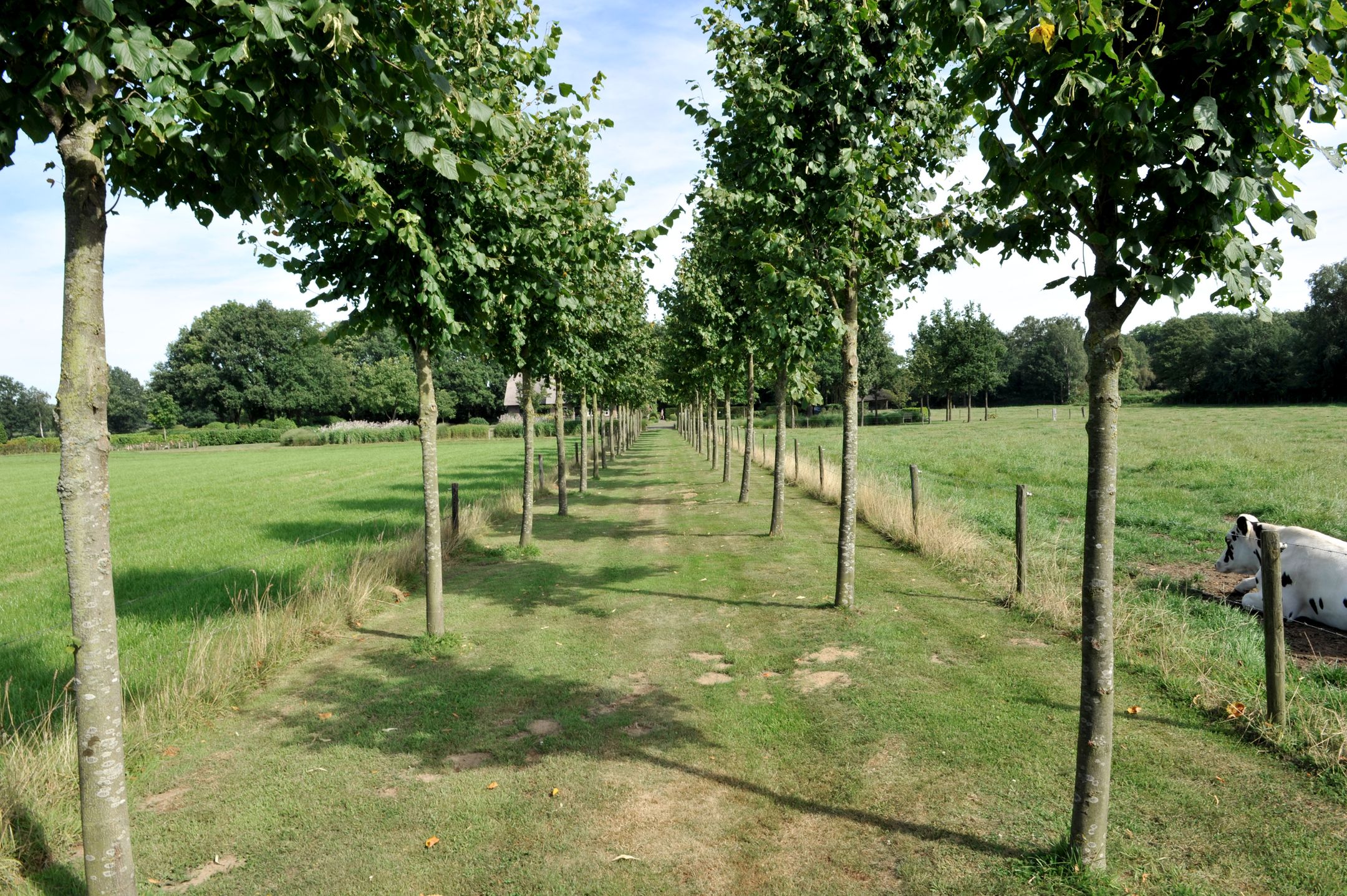 Foto 105 van Loordijk 24