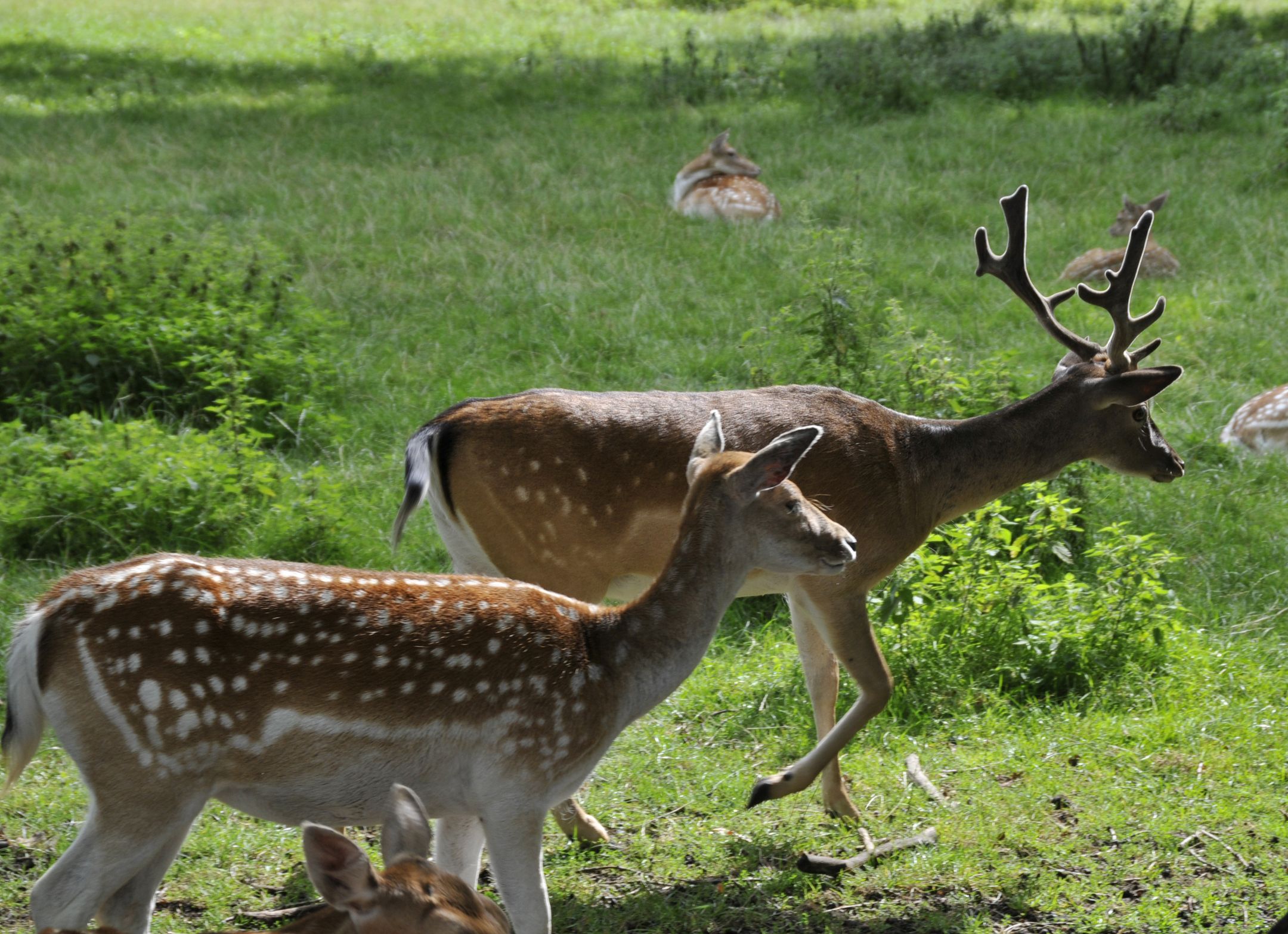 Foto 108 van Loordijk 24