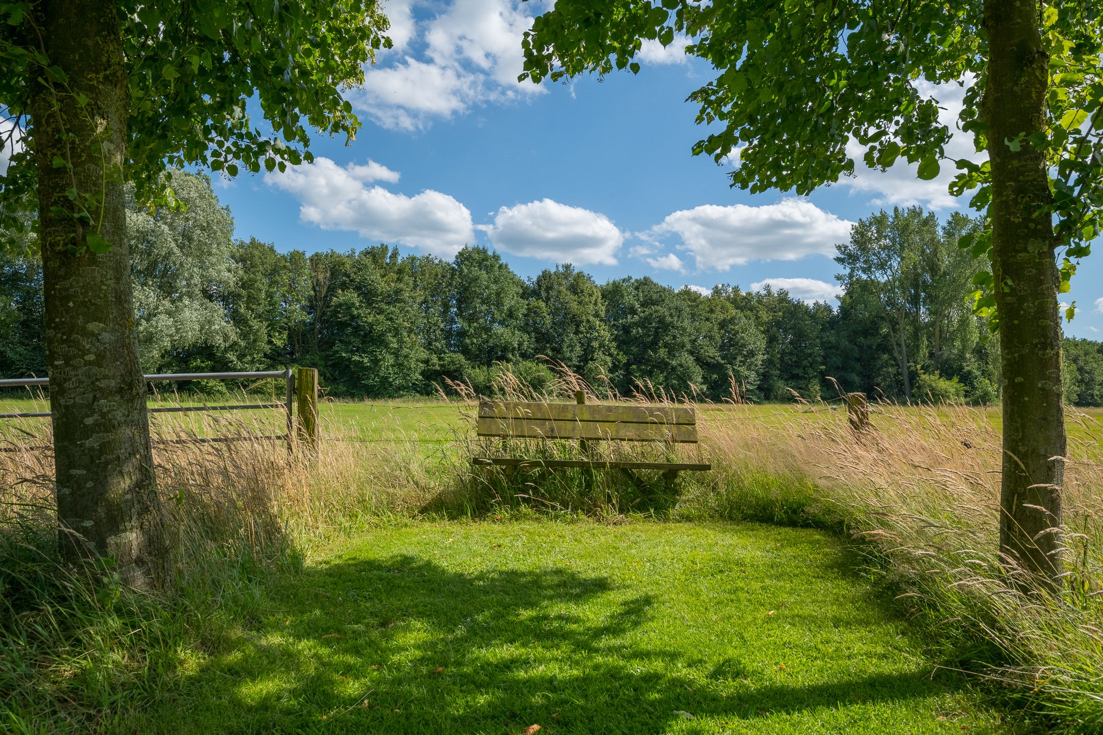 Foto 120 van Loordijk 24