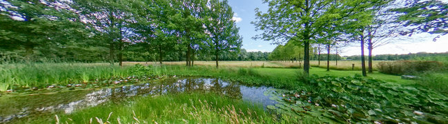 Bekijk 360° foto van Tuin van Loordijk 24