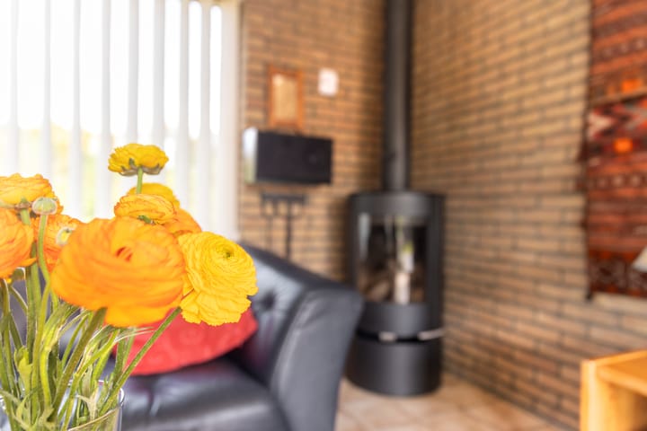 Foto 12 van Noordzeepark-Deltageul 4