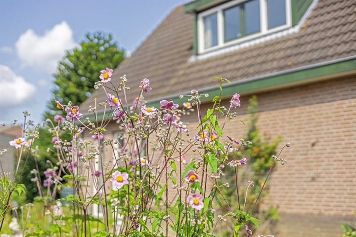 Bekijk foto 18 van Stenenkamerstraat 44