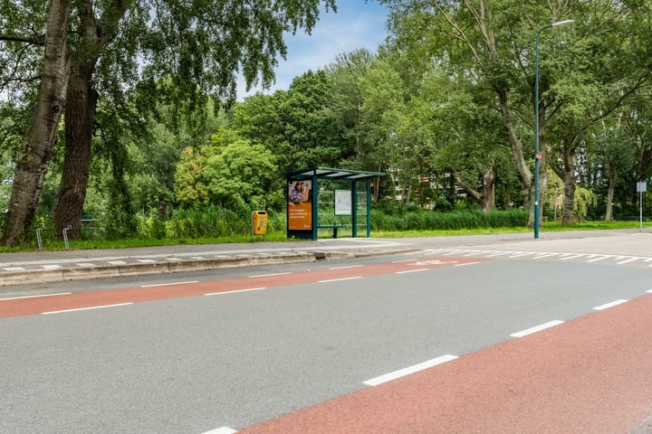 Bekijk foto 33 van Aert van Neslaan 218