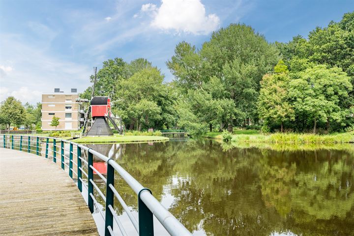 Bekijk foto 34 van Aert van Neslaan 218