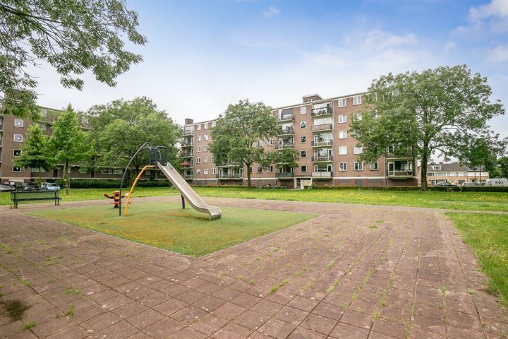 Bekijk foto 39 van Maassingel 106