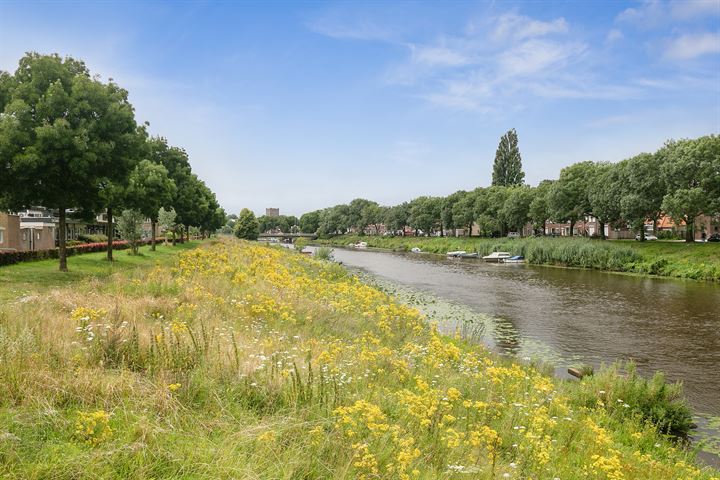 Bekijk foto 40 van Maassingel 106