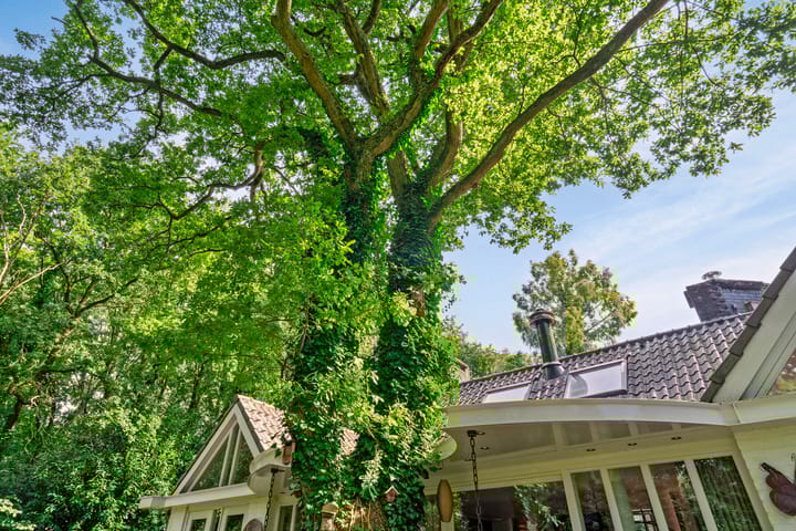 Photo 61 of 't Jagerspaadje 3