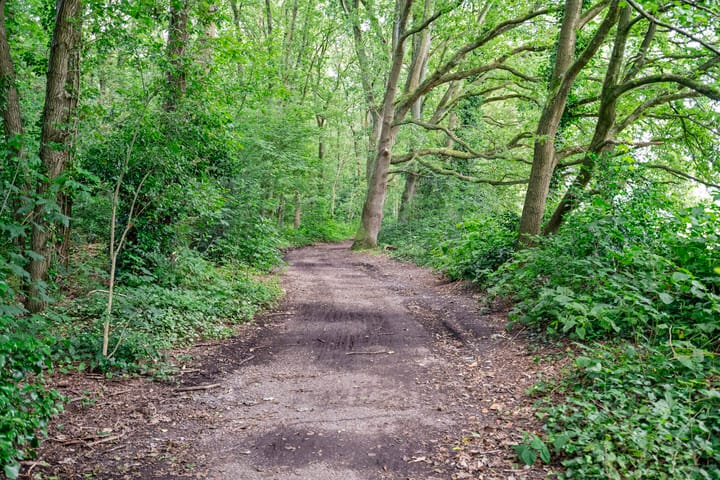 Photo 75 of 't Jagerspaadje 3