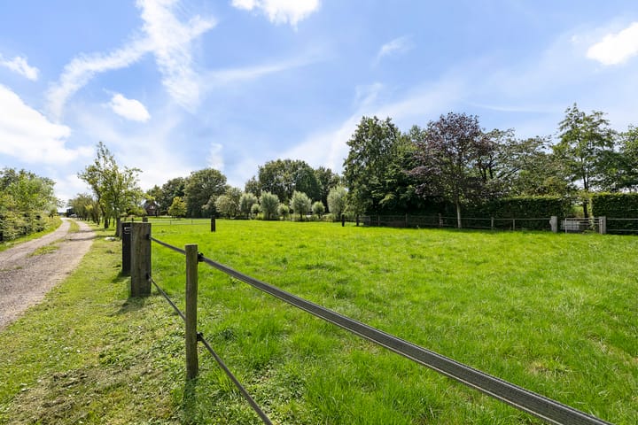 Foto 43 van Midden 131