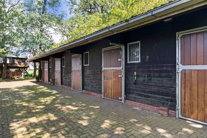 Foto 52 van Midden 131