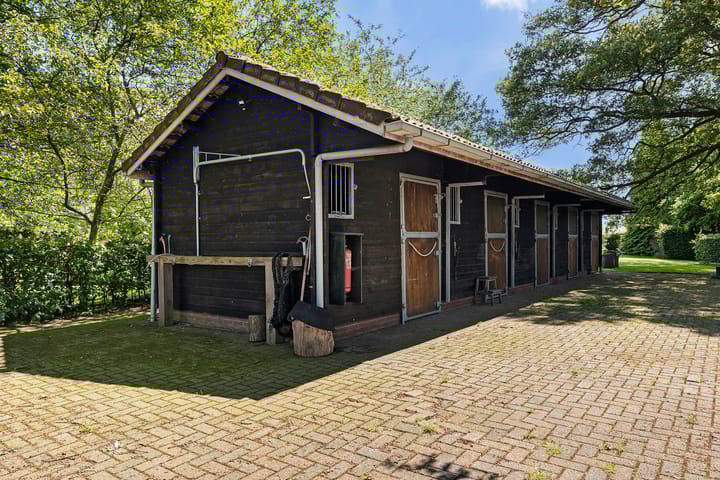 Foto 53 van Midden 131