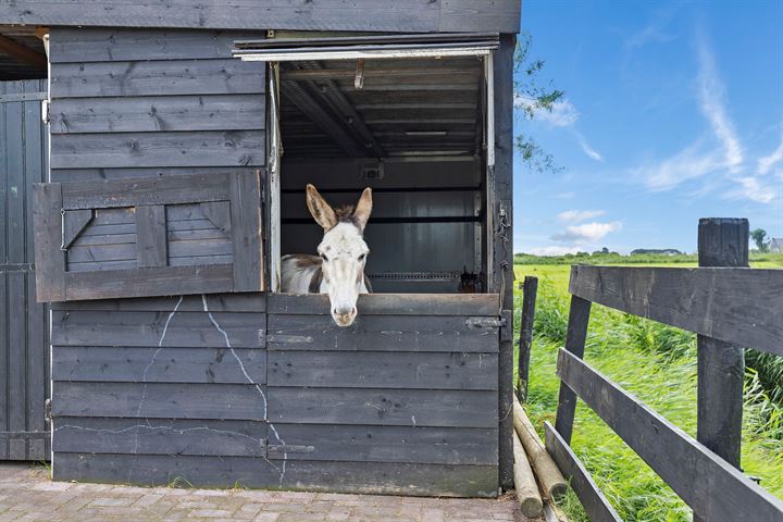 Bekijk foto 55 van Kiesterzijl 56