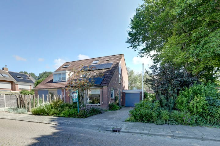 undefined main image
