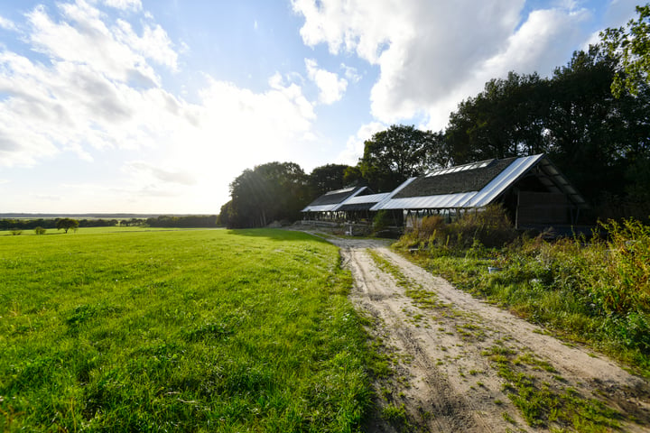 Bekijk foto 33 van Brinkhorsterweg 1