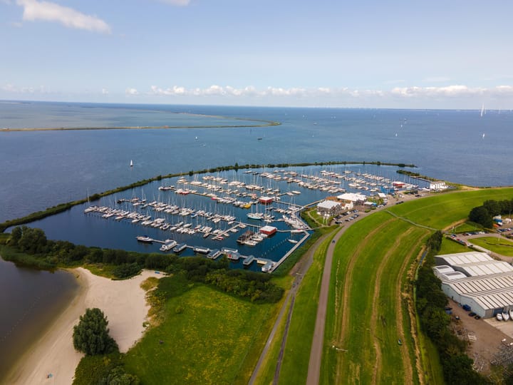 Foto 5 van Moerasorchidee 23