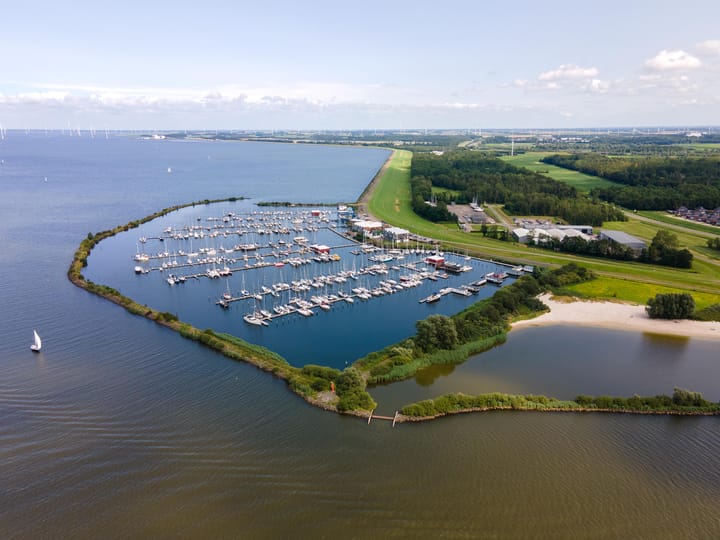 Foto 6 van Moerasorchidee 23