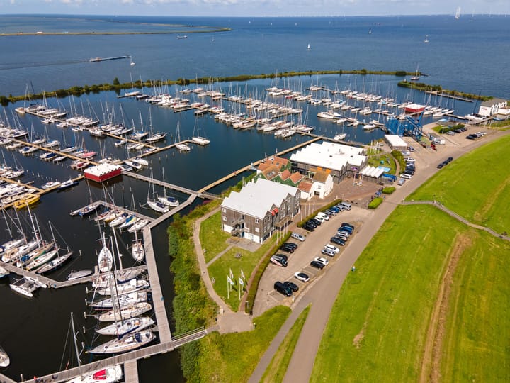 Foto 7 van Moerasorchidee 23