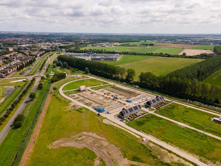 Foto 8 van Moerasorchidee 23