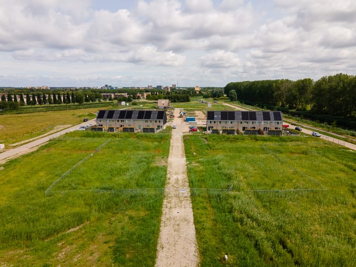 Foto 11 van Moerasorchidee 23