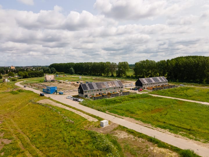 Foto 14 van Moerasorchidee 23