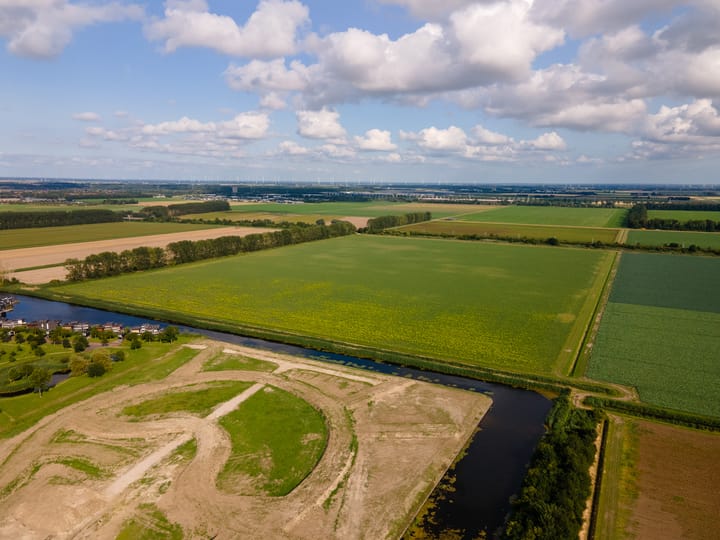 Foto 17 van Moerasorchidee 23