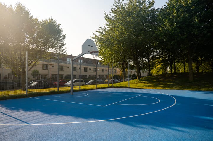 Foto 27 van Moerasorchidee 23