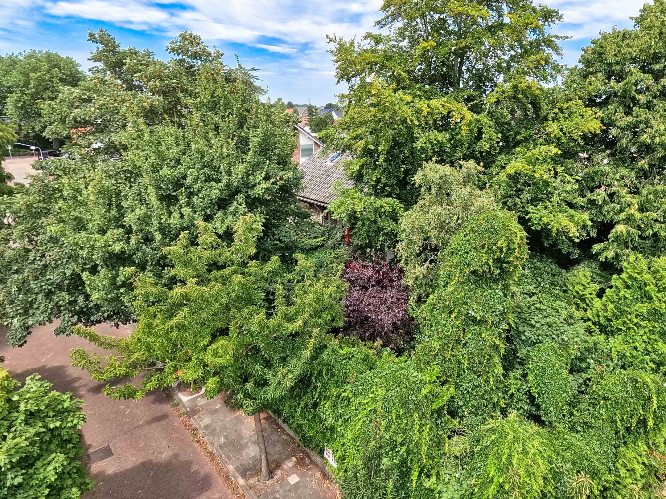 Foto 93 van Pelikaanstraat 41