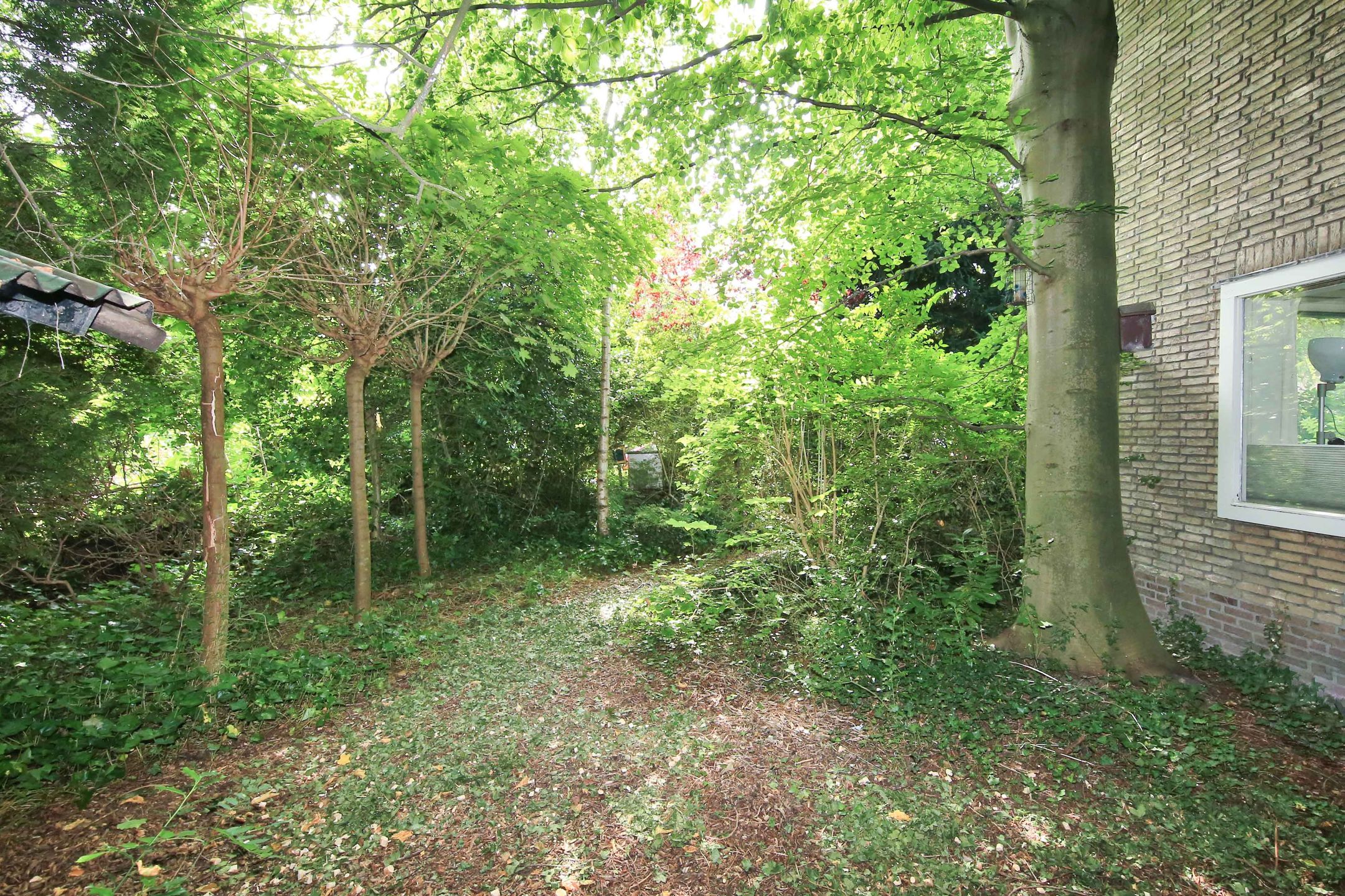 Foto 96 van Pelikaanstraat 41