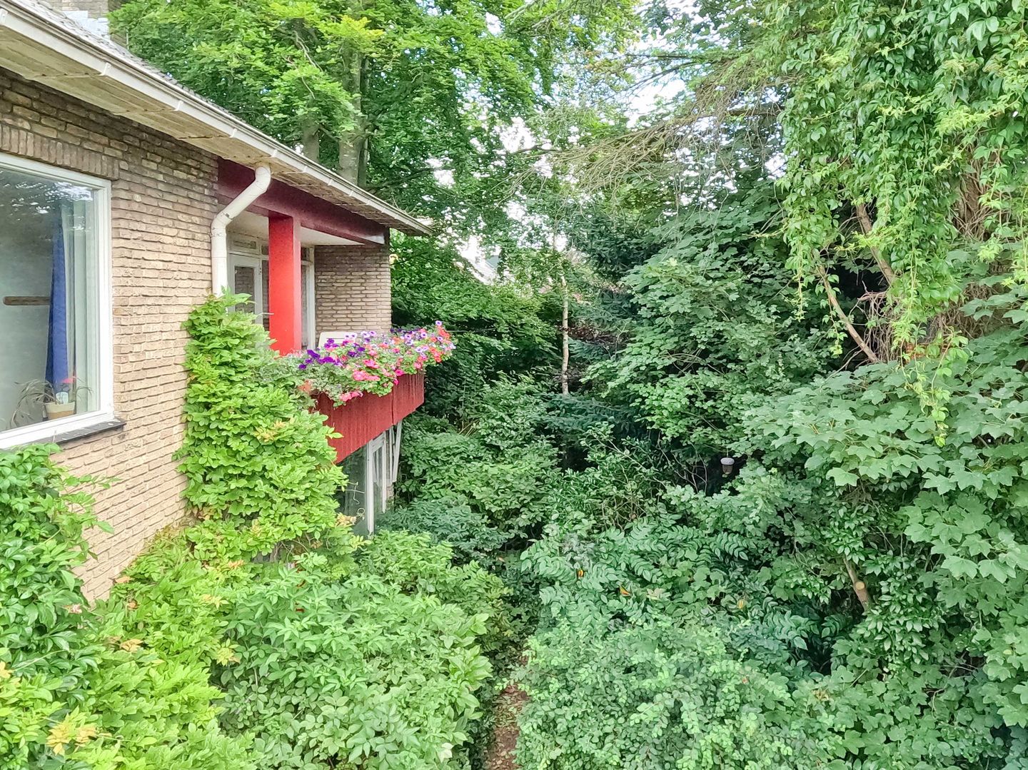 Foto 94 van Pelikaanstraat 41