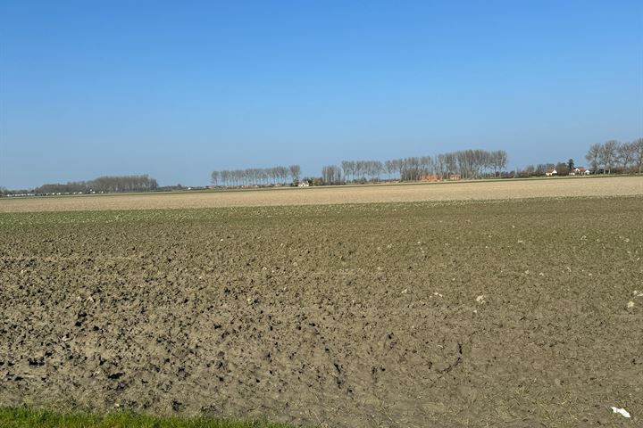 Bekijk foto 5 van Cadzandseweg