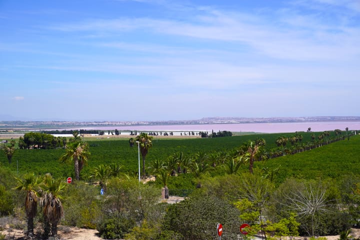 Foto 16 van Torrevieja