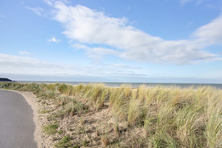 Foto 64 van Vlamingpolderweg 3-B104