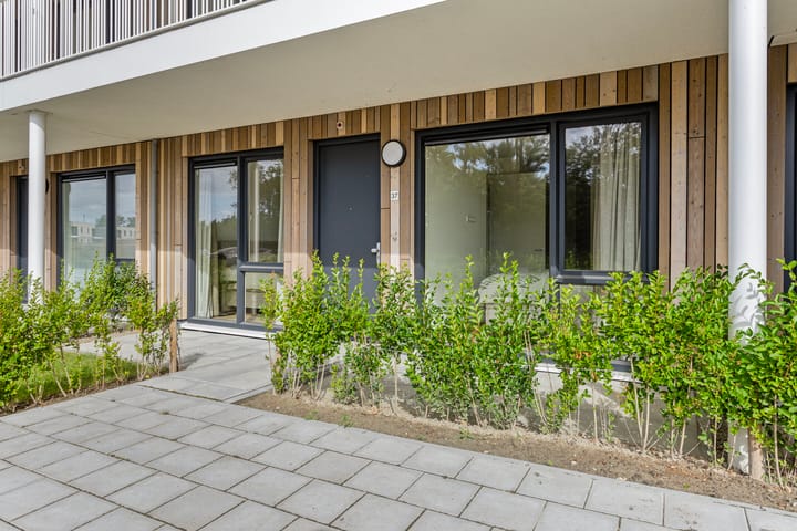 Photo 17 of Lamsoor 37