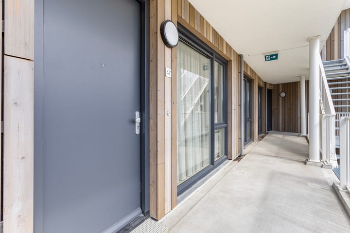 Photo 2 of Lamsoor 47