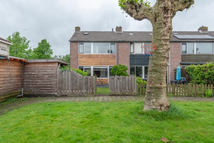undefined main image