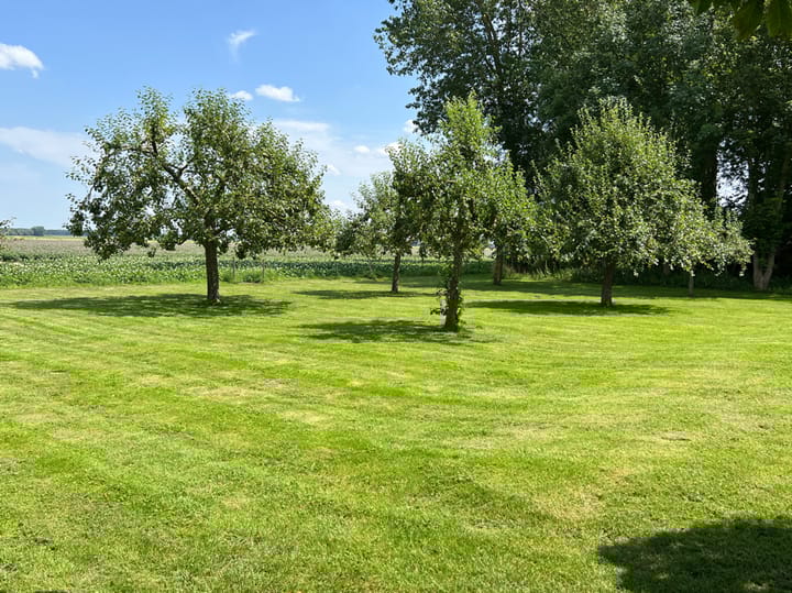 Foto 4 van Beoostenblijsestraat 6