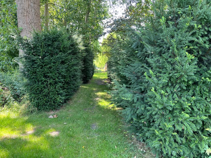 Foto 6 van Beoostenblijsestraat 6