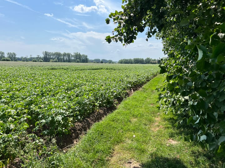 Foto 8 van Beoostenblijsestraat 6