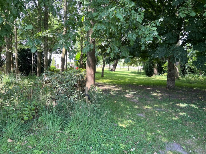 Foto 9 van Beoostenblijsestraat 6