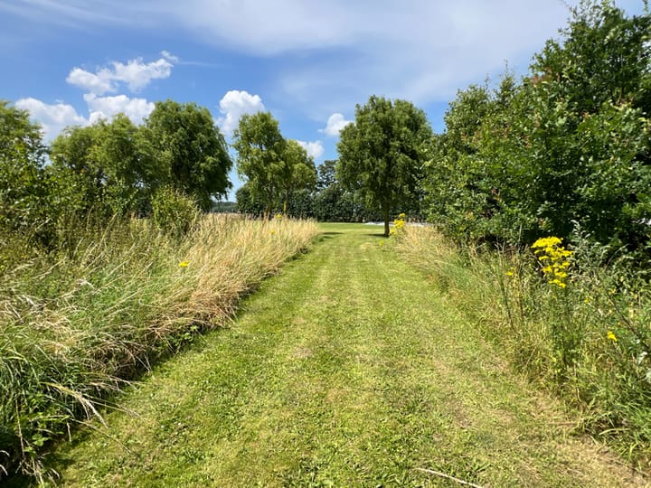 Foto 15 van Beoostenblijsestraat 6