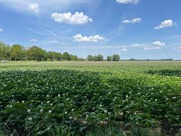 Foto 19 van Beoostenblijsestraat 6