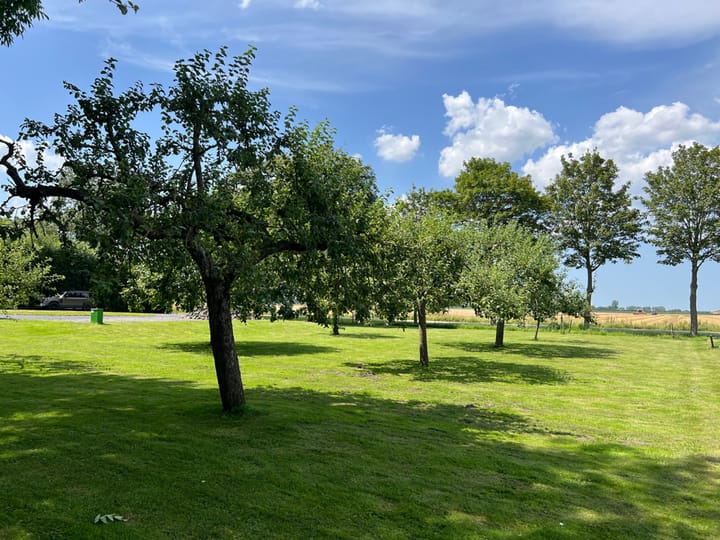 Foto 20 van Beoostenblijsestraat 6